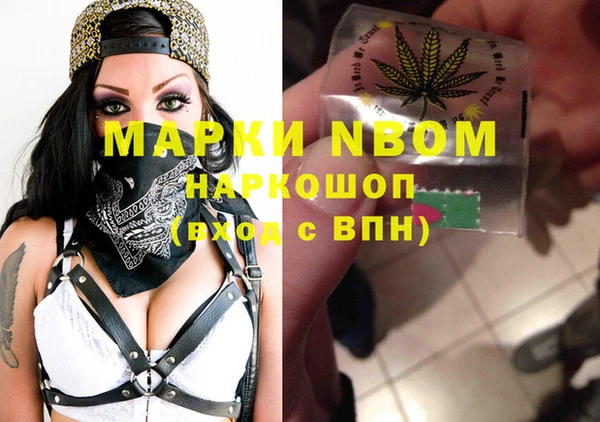 соль ск Богородицк