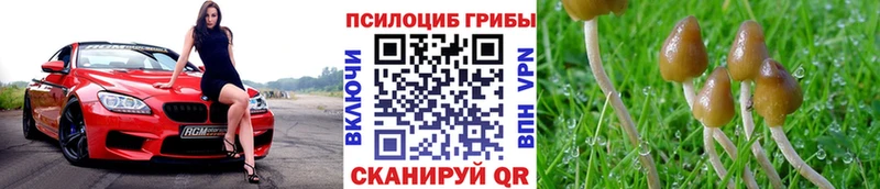 Галлюциногенные грибы мухоморы  Медногорск 